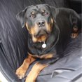 thumbnail image 3 of Gen7Pets Deluxe Car Seat Protector Black, 3 of 9
