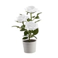 thumbnail image 2 of EGNMCR 3 Led Rose Lantern Solar 3 Heads Rose LED Potted Table Lamp Night Light Solar lantern, 2 of 2