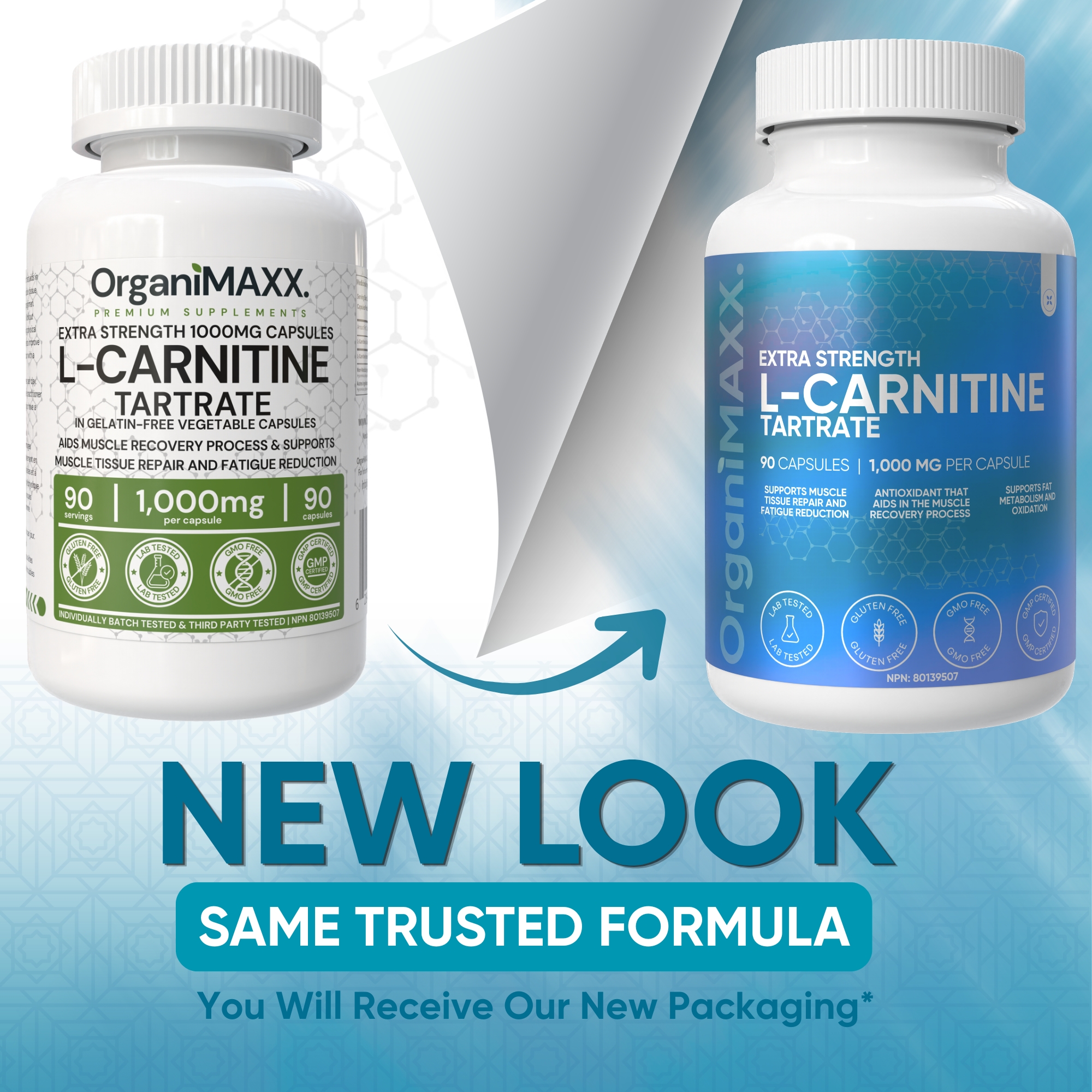 l-carnitine price in canada Citrus Flavour This liquid formula is crafted for maximum absorption Codeage Liposomal L-Carnitine 500mg Capsule