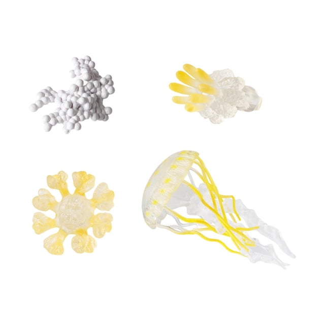 HILABEE Jellyfish Growth Cycle Science Biology Model Animal Life Growth Cycle Figure Yellow