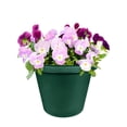 thumbnail image 4 of The HC Companies Jardinière Ronde Classique de 14 Pouces, Pot de Plante en Plastique, Evergreen, 4 of 4