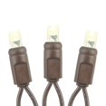 thumbnail image 3 of Novelty Lights 2x10 Net Lights, 100 Warm White LEDs on Brown Wire, 3 of 5