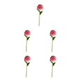 thumbnail image 3 of Baohd 1/2/3/5 10pack/lot Realistic Appearance Artificial Flower For Party Decor And Home Decor Coffee 5PCS, 3 of 6
