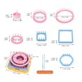 thumbnail image 2 of YISITIAN Flower Making Loom Kit with Hook, Includes Round and Square Frame for Knitting Weaving Crafts, Beginner-Friendly DIY Accessory for Home Decor AZ1014-1799, 2 of 7