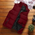 thumbnail image 4 of Veste Sans Manches Homme Mode Homme Uni Col Montant Cardigan Sans Manches Veste Manteau Rembourré, 4 of 5