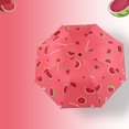 thumbnail image 5 of Compact Sunshade Umbrella, Foldable UV Protection Umbrella, Portable Outdoor Umbrella, Windproof Compact Umbrella for Travel, Daily Commute and Outdoor Use, 5 of 5