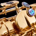 thumbnail image 4 of Loewten Saxophone Abalone Shell, Saxophone Key Button, 3 Different Size For Alto Tenor Saxophones Soprano, 4 of 8