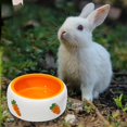 thumbnail image 2 of thinsony Non Slip Rabbit Feeder Bowl Feeding Basin for Hedgehog Gerbils Puppy Kitten 11cmx4.5cm Round, 2 of 9