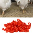 thumbnail image 3 of Poultry Leg Bands, Six Card Slots Retractable Used Flexibly Distinguish Different Varieties Chicken Foot Rings  For Outdoors For Poultry For Daily For Home, 3 of 8
