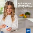 thumbnail image 3 of Xylitol Menthe par Epic Dental - 180 Menthe, Fruits Frais, 3 of 9