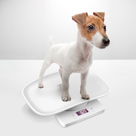 FELTECHELECTR Compact Small Pet Scale 1Set Material Weighing Scales for Puppies and Cats with Backlit Display