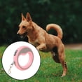thumbnail image 5 of TIELUTT Automatic Retractable Dog Leash Extendable Pet with Escape Lock for Small & Medium Dogs Dog Leash Chain Chew Proof Two Dog Retractable Leash Small Dog Dog Leash Large Dogs Small Dog Training L, 5 of 5