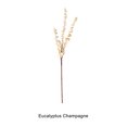 thumbnail image 4 of Baohd 3x Realistic Appearance Artificial Plants Nature S Charm To Space Easy To Clean champagne 1Set, 4 of 6