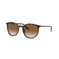 thumbnail image 1 of Sunglasses Ray-Ban RB 2204 902/51 Havana Clear Gradient Brown, 1 of 1