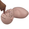 thumbnail image 4 of Practice Training Mannequin Multifunction for extension head model Massage Home Black, 4 of 9
