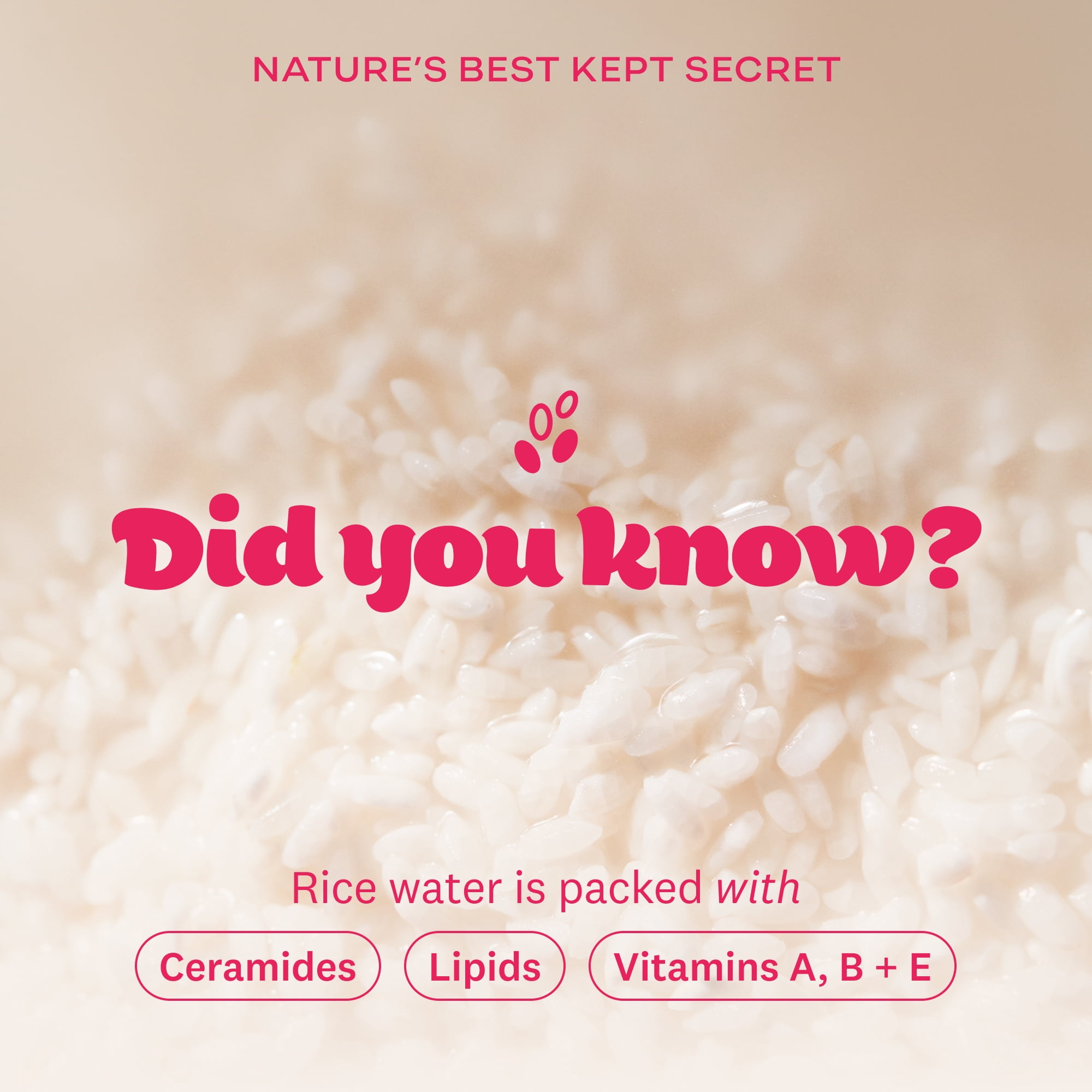 THE FACE SHOP Rice Water Bright Vegan Foaming Cleanser with Ceramide, Sulfate-Free, Clean, Korean Skin Care, 150 ml