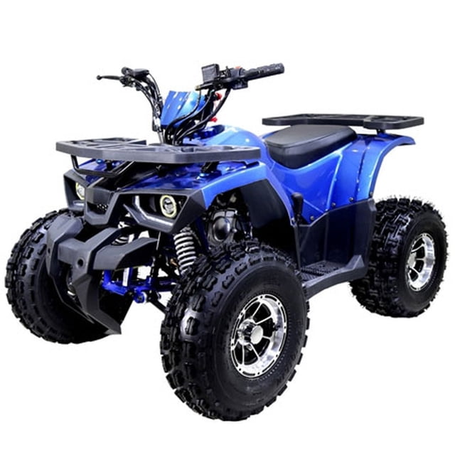 Tao Motor Raptor 125 VTT de Taille Moyenne Édition Limitée (Assemblage Requis), Bleu