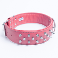 thumbnail image 2 of Collier pour Chien en Cuir à Pointes AMSTERDAM à Multiples Rangées de Pointes, 2 of 4
