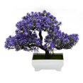 thumbnail image 1 of Luckyn A Simulation Lotus Pine Flower Bonsai Set Small Potted Green Plants, 1 of 6