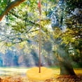 thumbnail image 4 of Safer To Use Climbing Disc, Hanging Chair, For Balcony Garden Patio Campsite Yellow, 4 of 8