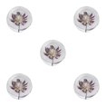 thumbnail image 1 of VONKY Resin Crystal Ball Enhancing Energy In Space Easily Portable Flower Crystal Ball Astrantia 8cm 5Set, 1 of 6