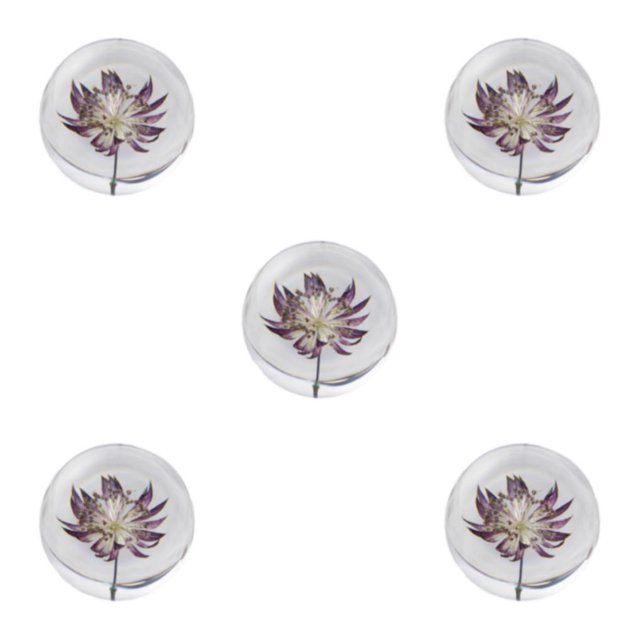VONKY Resin Crystal Ball Enhancing Energy In Space Easily Portable Flower Crystal Ball Astrantia 8cm 5Set