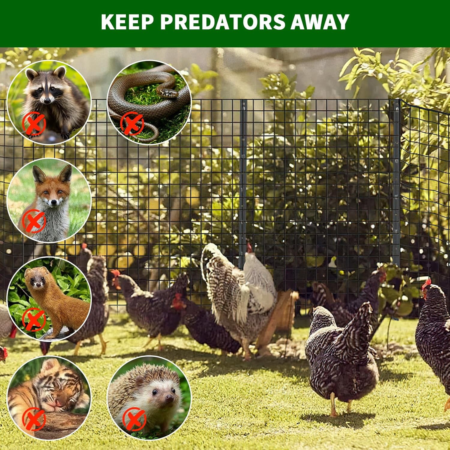 EastVita Hardware Cloth Chicken Wire Fence, Galvanized Steel Mesh Roll, Black
