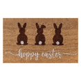 thumbnail image 1 of Agiferg Paillasson de Pâques Œufs de Pâques Rabbit Tapis d'Entrée Antidérapant Intérieur Extérieur pour Maison Patio Décoration Maison, 1 of 7