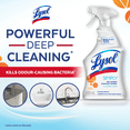 thumbnail image 3 of Lysol Simply&#2013265922?&#2013266082 Cleaner 650mL, 3 of 6