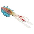 thumbnail image 2 of Soft Luminous Fishing, Octopus Squid Lure Tackle Artificiali Jigging Bait  Calamaro Accessory4, 2 of 8