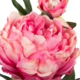 thumbnail image 3 of Vickerman FA174803 Pivoine X2 Tige Florale Rose, 3 of 3