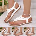 thumbnail image 1 of TrendOFT Womens Sandals Comfortable For Everyday Wear Beach Casual Slip On Breathable Lightweight Thong Flip Flops For Spring Summer Fall Sandale Plateforme Femme Brown 41, 1 of 9