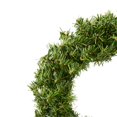 thumbnail image 3 of Vickerman A802609-6 Couronne de Pin Mini 10 Po. avec 90 Embouts 6 par Paquet, 3 of 3
