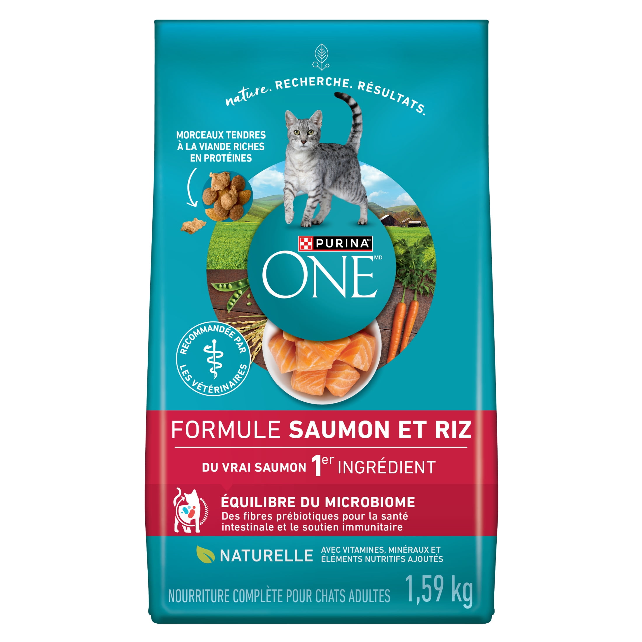 Purina ONE Saumon & Riz, Nourriture Sèche pour Chats 1.6kg