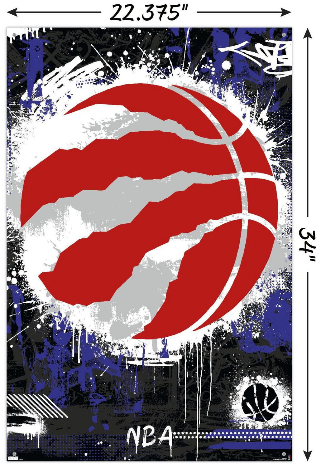 NBA Toronto Raptors