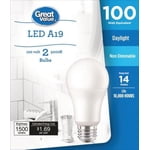Great Value 100W A19 Daylight LED Bulbs 2-pack