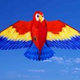 thumbnail image 3 of Jouet Volant d'Extérieur pour Enfants en Forme d'Oiseau 3D avec Corde de 50 m, Matériau Polyester, Style B, 44,5 X 19,7 Pouces, Activité de Plage et de Parc pour 8 Ans et Plus, Jeu d'Aviation B, 3 of 5