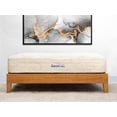 thumbnail image 1 of NSC Medical Hybrid Articulating System Double Mattress, 1 of 5
