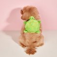 thumbnail image 2 of SNNROO 1pc Tortoise Design Pet Bag  Cute Green Polyester Pet Bag For Pet, 2 of 7