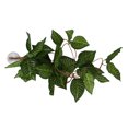 thumbnail image 3 of Simulation Rattan Landscaping, Neatly Cut Edges No Burrs Variety Of Models Hanging Plant False Vine  For Aquariums For Daily For Reptile Boxes For Fish Tanks NFF-84 Green Star Leaf, 3 of 8