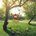thumbnail image 2 of WWW 50% Off Clearance Hooks Hummingbird Feeder Sucker Plastic Birds Feeder Porch Hummingbird, 2 of 7