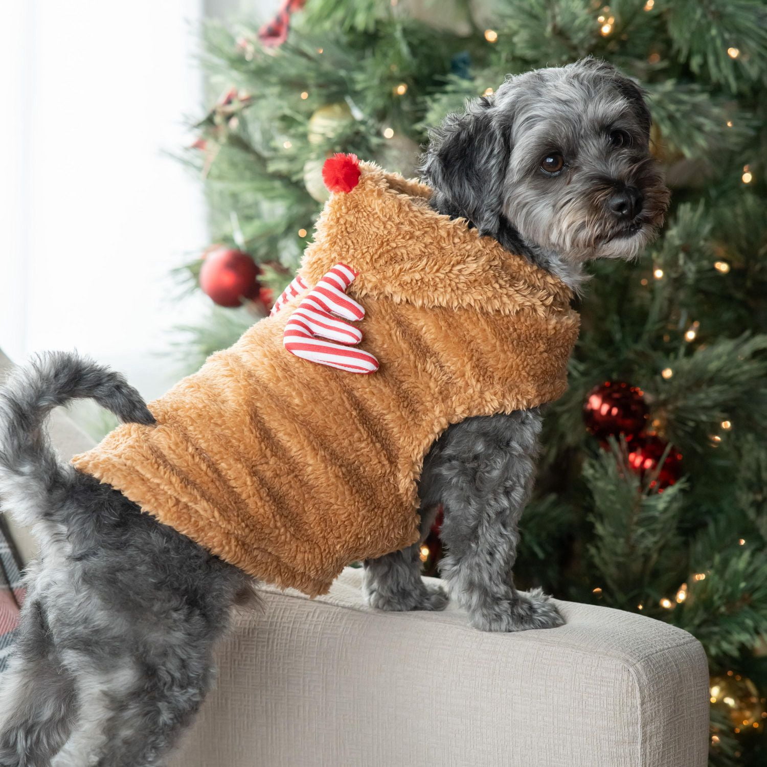Vibrant Life Holiday Tan Deer Pet Hoodie - Sweat à capuche pour chien et chat