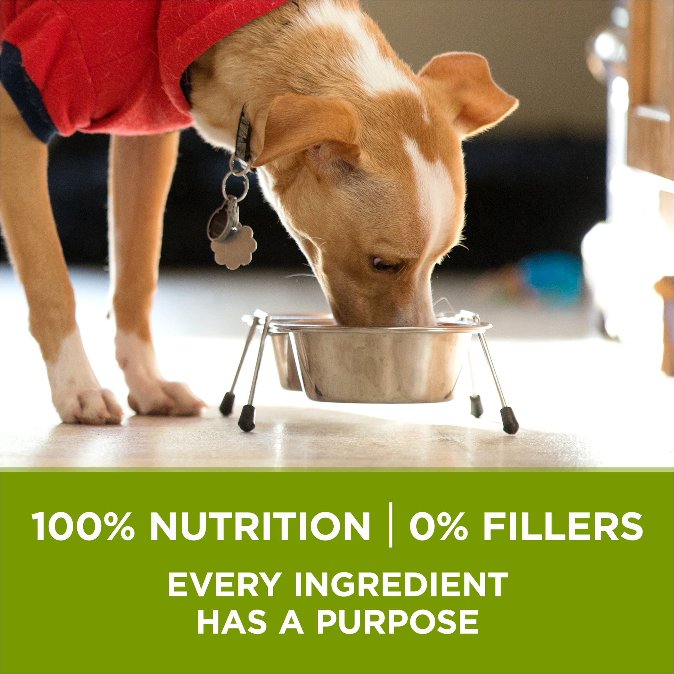 Purina ONE +Plus Soutien de Tout le Corps avec du Vrai Poulet, Nourriture Sèche pour Chiens 9.5 kg