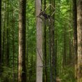 thumbnail image 4 of Muddy 17 Ft Tall Tree Stand, Single Steel Ladder for Hunting, Black, 1 Pack, 4 of 12