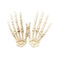 thumbnail image 1 of Pair Of Plastic Skeleton Hands Halloween Decoration Prop For Cosplay Party Prank 6 X 4 Inches Style E white, 1 of 8
