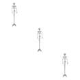thumbnail image 4 of ZheElen Plastic Skeleton Posable Joints For Unique Halloween Decoration Size For Needs Posable Joints Skeletons 3Set, 4 of 6