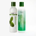 thumbnail image 3 of EDEN BodyWorks Peppermint Tea Tree Detangling Conditioner, 3 of 5