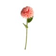thumbnail image 4 of Baohd 1/2/3/5 10pack/lot Realistic Appearance Artificial Flower For Party Decor And Home Decor Deep Pink 5PCS, 4 of 6
