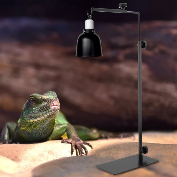Support de Lampe Ajustable à Conception Détachable pour Tortue, Support de Lampe sur Pied Support de Lampe pour Reptile, pour Tortue Reptile