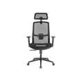 thumbnail image 2 of Monoprice WFH Ergonomic Office Chair with Mesh Seat, Adjustable Headrest, Lumbar Support, Armrests, Backrest - Workstream Collection, 2 of 2